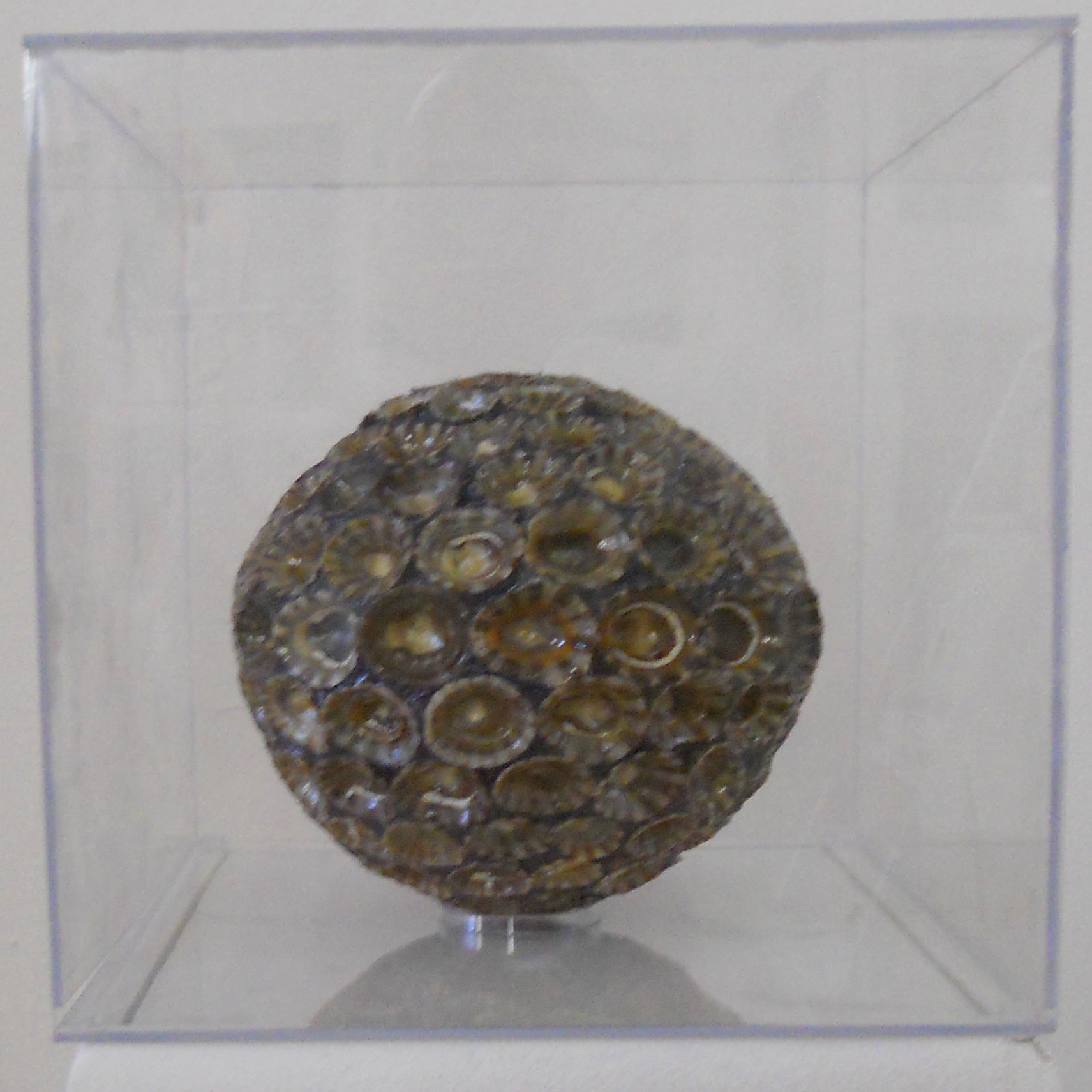 MW 19 (Hohe Aufl&ouml;sung)